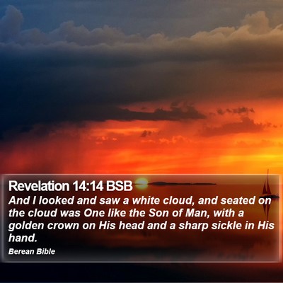 Revelation 14:14 BSB Bible Verse Image