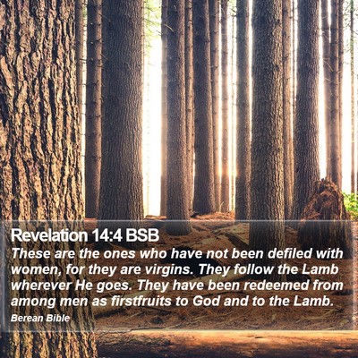 Revelation 14:4 BSB Bible Verse Image