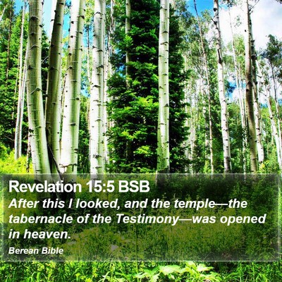 Revelation 15:5 BSB Bible Verse Image