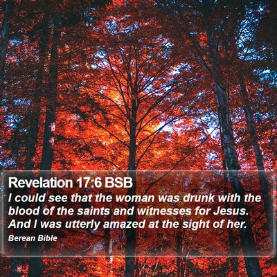 Revelation 17:6 BSB Bible Verse Image