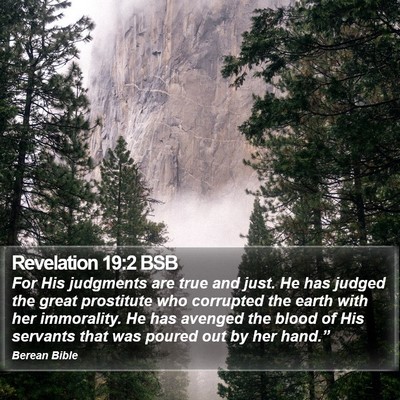 Revelation 19:2 BSB Bible Verse Image