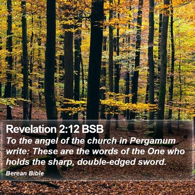 Revelation 2:12 BSB Bible Verse Image