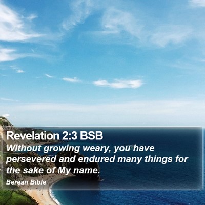 Revelation 2:3 BSB Bible Verse Image