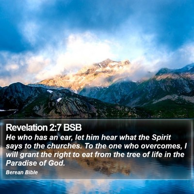 Revelation 2:7 BSB Bible Verse Image