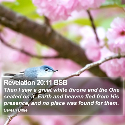 Revelation 20:11 BSB Bible Verse Image