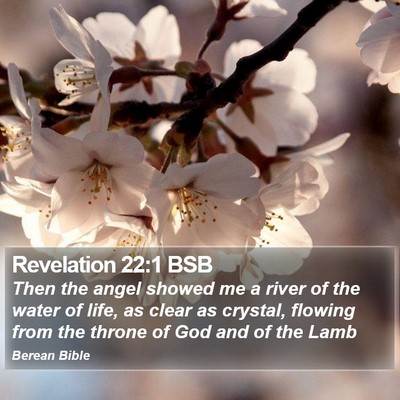 Revelation 22:1 BSB Bible Verse Image