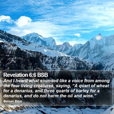 Revelation 6:6 BSB Bible Verse Image