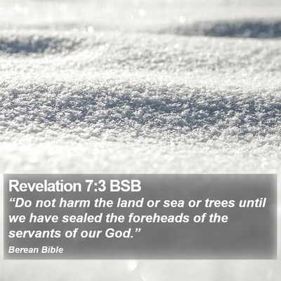 Revelation 7:3 BSB Bible Verse Image