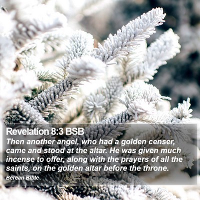 Revelation 8:3 BSB Bible Verse Image
