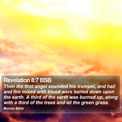 Revelation 8:7 BSB Bible Verse Image