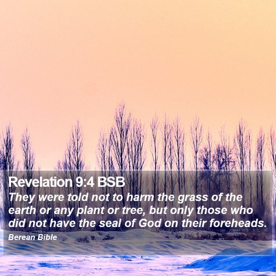 Revelation 9:4 BSB Bible Verse Image