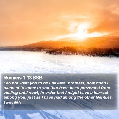Romans 1:13 BSB Bible Verse Image