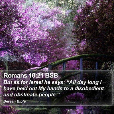 Romans 10:21 BSB Bible Verse Image