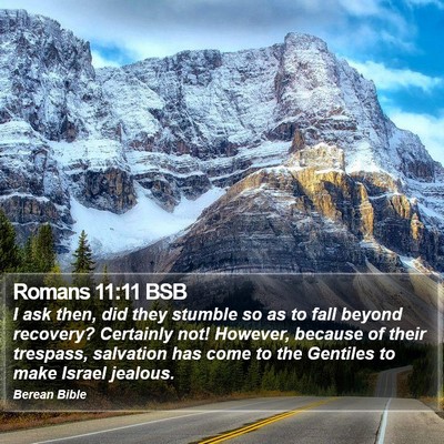 Romans 11:11 BSB Bible Verse Image