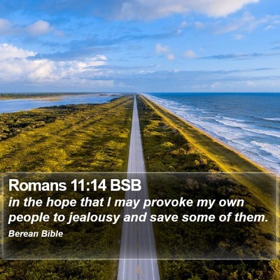 Romans 11:14 BSB Bible Verse Image