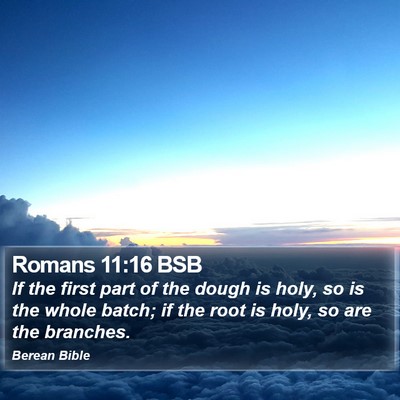 Romans 11:16 BSB Bible Verse Image
