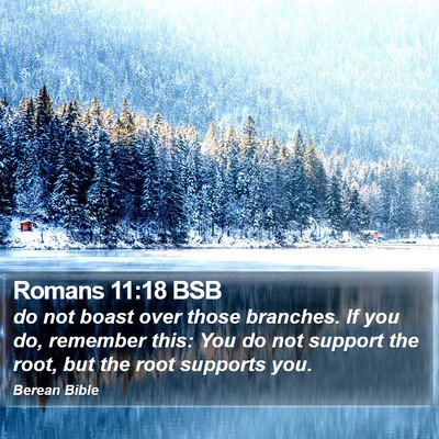 Romans 11:18 BSB Bible Verse Image