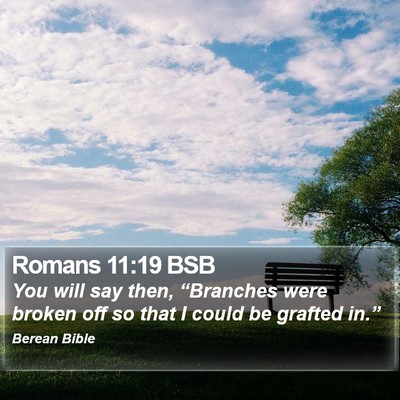 Romans 11:19 BSB Bible Verse Image