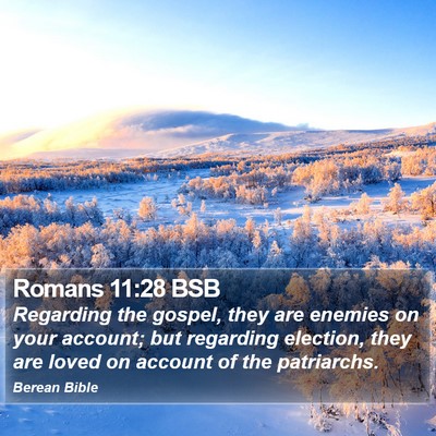 Romans 11:28 BSB Bible Verse Image