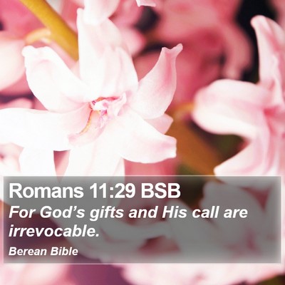 Romans 11:29 BSB Bible Verse Image