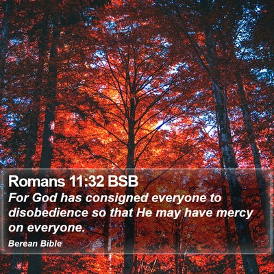 Romans 11:32 BSB Bible Verse Image
