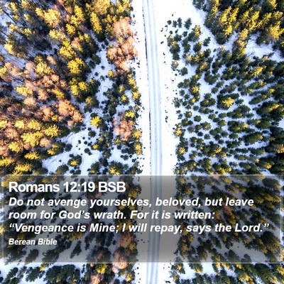 Romans 12:19 BSB Bible Verse Image