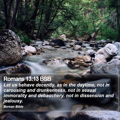 Romans 13:13 BSB Bible Verse Image