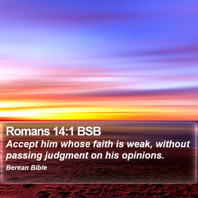 Romans 14:1 BSB Bible Verse Image