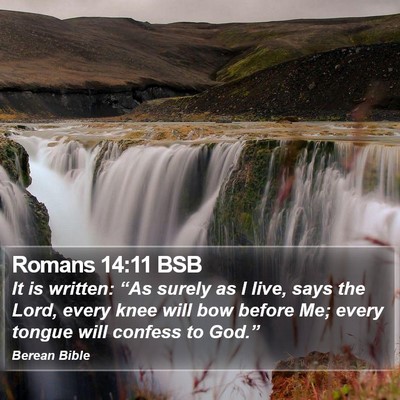 Romans 14:11 BSB Bible Verse Image