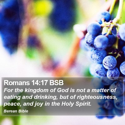 Romans 14:17 BSB Bible Verse Image