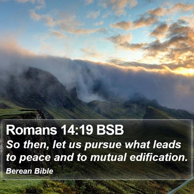 Romans 14:19 BSB Bible Verse Image