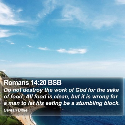 Romans 14:20 BSB Bible Verse Image