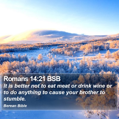 Romans 14:21 BSB Bible Verse Image