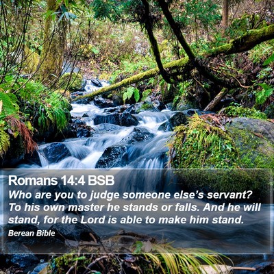 Romans 14:4 BSB Bible Verse Image