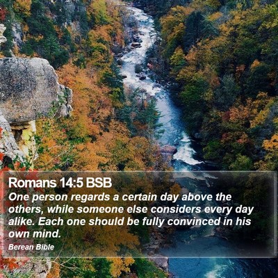 Romans 14:5 BSB Bible Verse Image