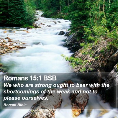 Romans 15:1 BSB Bible Verse Image