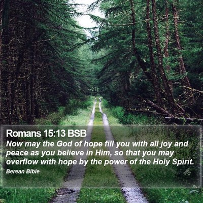 Romans 15:13 BSB Bible Verse Image