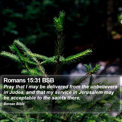 Romans 15:31 BSB Bible Verse Image