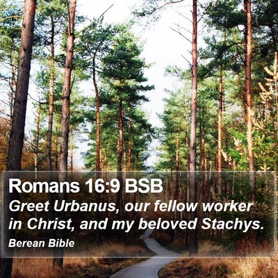 Romans 16:9 BSB Bible Verse Image