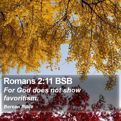 Romans 2:11 BSB Bible Verse Image