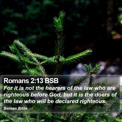 Romans 2:13 BSB Bible Verse Image
