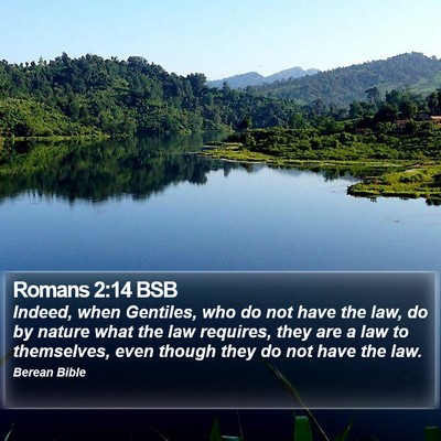 Romans 2:14 BSB Bible Verse Image