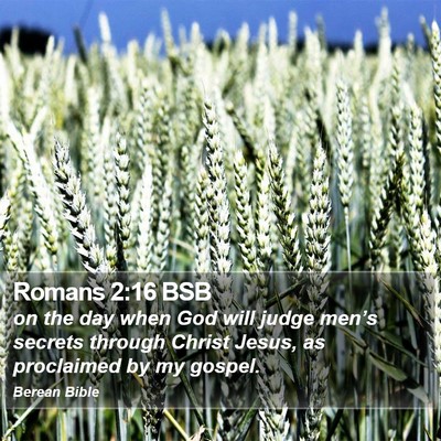 Romans 2:16 BSB Bible Verse Image