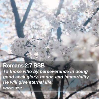 Romans 2:7 BSB Bible Verse Image