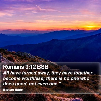 Romans 3:12 BSB Bible Verse Image
