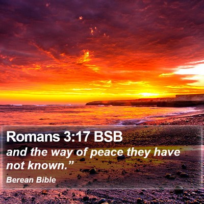 Romans 3:17 BSB Bible Verse Image