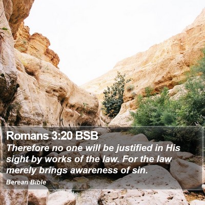 Romans 3:20 BSB Bible Verse Image