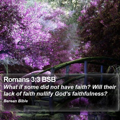 Romans 3:3 BSB Bible Verse Image