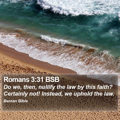 Romans 3:31 BSB Bible Verse Image