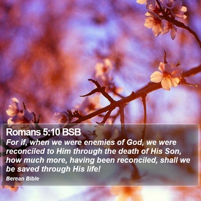 Romans 5:10 BSB Bible Verse Image